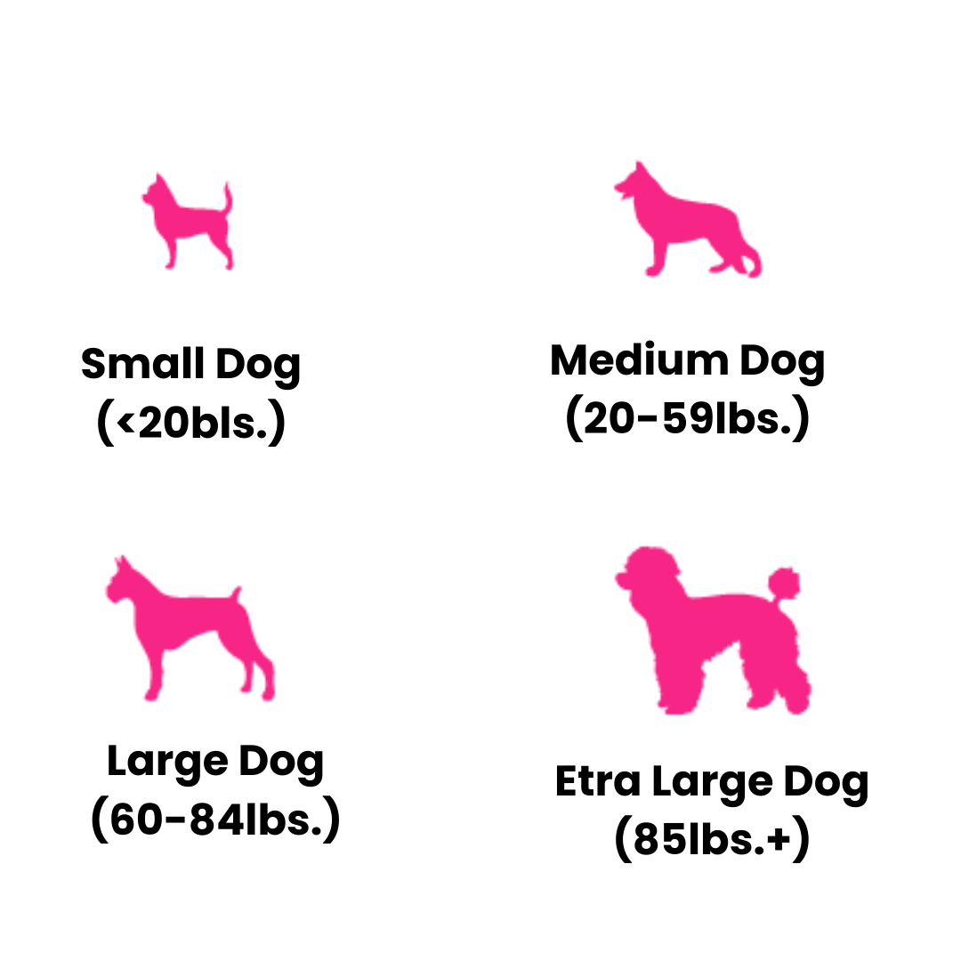 Dog Hair Don’t Care | Express Grooming Salon